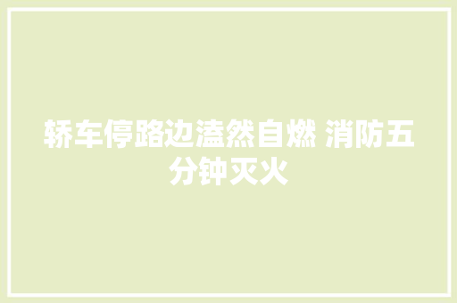 轿车停路边溘然自燃 消防五分钟灭火