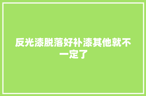 反光漆脱落好补漆其他就不一定了