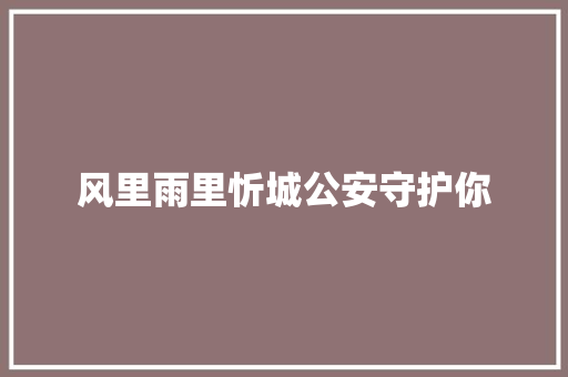 风里雨里忻城公安守护你