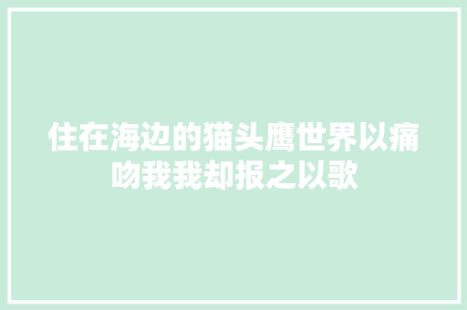 住在海边的猫头鹰世界以痛吻我我却报之以歌