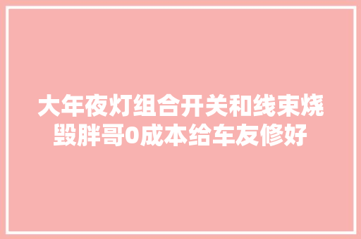大年夜灯组合开关和线束烧毁胖哥0成本给车友修好