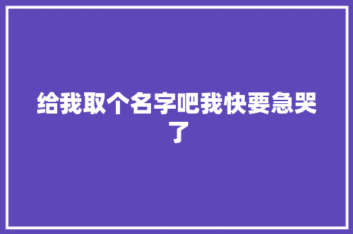 给我取个名字吧我快要急哭了