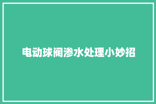 电动球阀渗水处理小妙招