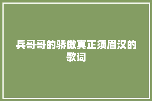 兵哥哥的骄傲真正须眉汉的歌词