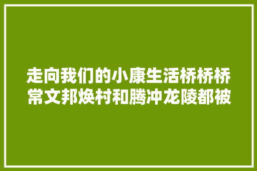 走向我们的小康生活桥桥桥常文邦焕村和腾冲龙陵都被它改变着