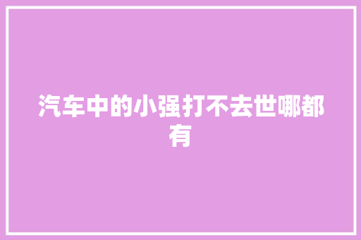 汽车中的小强打不去世哪都有