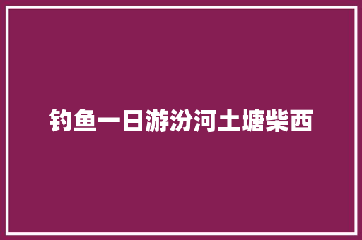 钓鱼一日游汾河土塘柴西