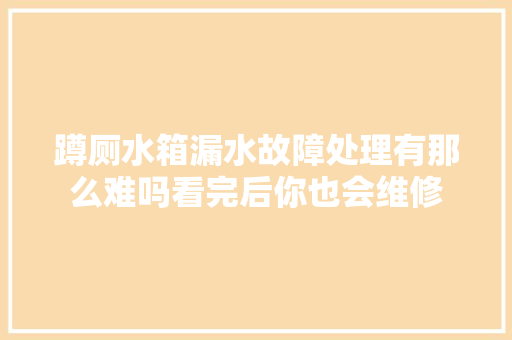 蹲厕水箱漏水故障处理有那么难吗看完后你也会维修