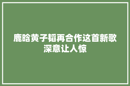 鹿晗黄子韬再合作这首新歌深意让人惊