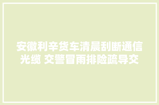 安徽利辛货车清晨刮断通信光缆 交警冒雨排险疏导交通