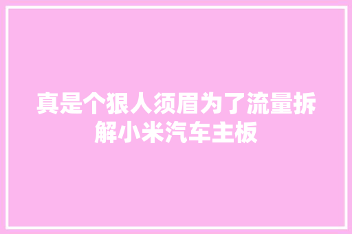 真是个狠人须眉为了流量拆解小米汽车主板