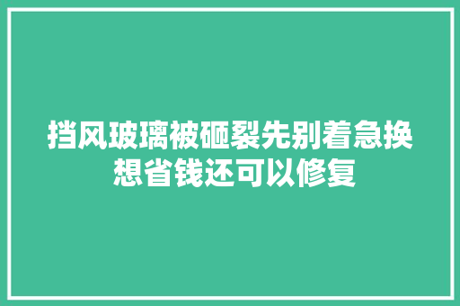 挡风玻璃被砸裂先别着急换 想省钱还可以修复