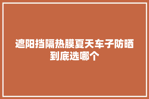 遮阳挡隔热膜夏天车子防晒到底选哪个