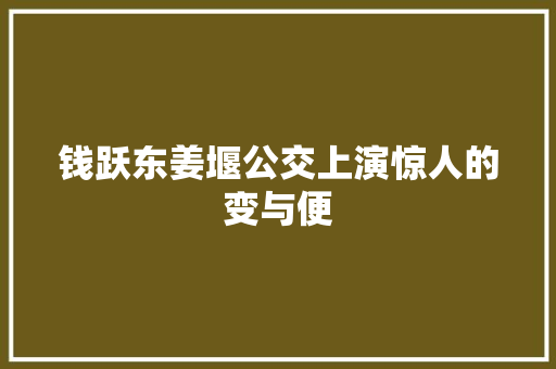 钱跃东姜堰公交上演惊人的变与便
