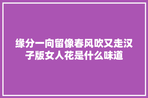 缘分一向留像春风吹又走汉子版女人花是什么味道