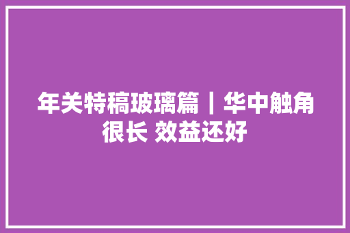 年关特稿玻璃篇｜华中触角很长 效益还好