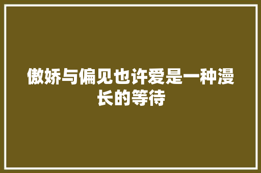 傲娇与偏见也许爱是一种漫长的等待