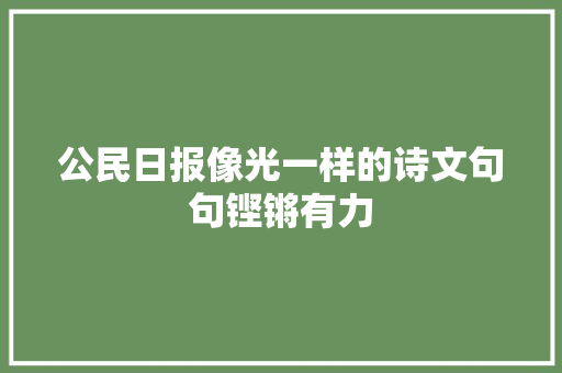 公民日报像光一样的诗文句句铿锵有力