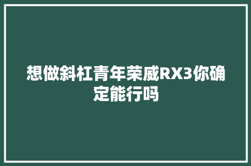 想做斜杠青年荣威RX3你确定能行吗