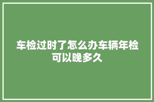 车检过时了怎么办车辆年检可以晚多久