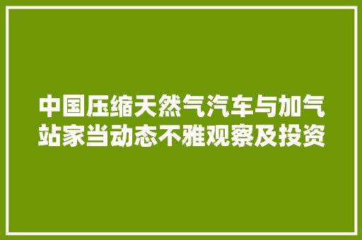 中国压缩天然气汽车与加气站家当动态不雅观察及投资竞争力调研申报