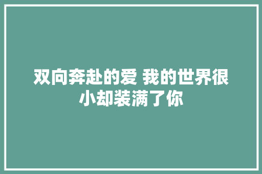 双向奔赴的爱 我的世界很小却装满了你