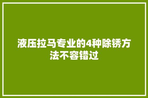 液压拉马专业的4种除锈方法不容错过