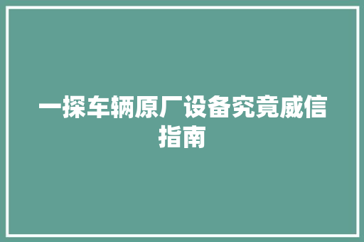 一探车辆原厂设备究竟威信指南