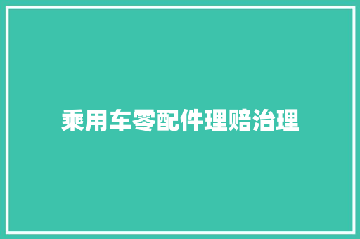 乘用车零配件理赔治理