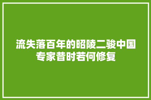 流失落百年的昭陵二骏中国专家昔时若何修复