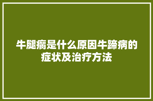 牛腿瘸是什么原因牛蹄病的症状及治疗方法
