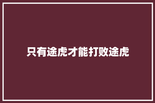 只有途虎才能打败途虎