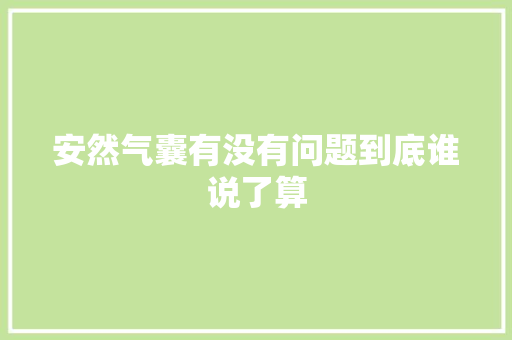 安然气囊有没有问题到底谁说了算