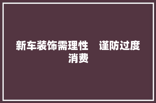 新车装饰需理性　谨防过度消费