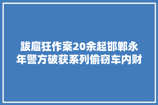 跋扈狂作案20余起邯郸永年警方破获系列偷窃车内财物案