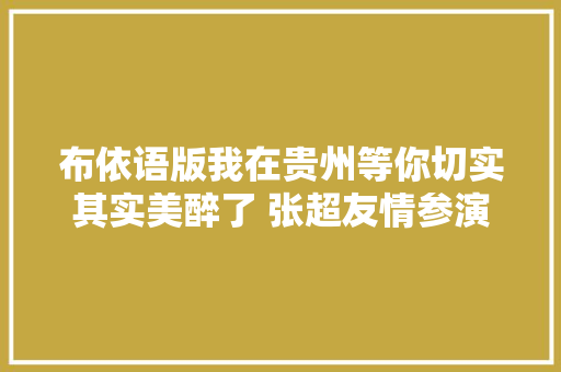 布依语版我在贵州等你切实其实美醉了 张超友情参演