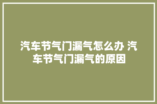 汽车节气门漏气怎么办 汽车节气门漏气的原因 汽车知识