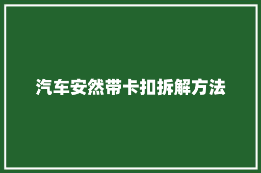 汽车安然带卡扣拆解方法