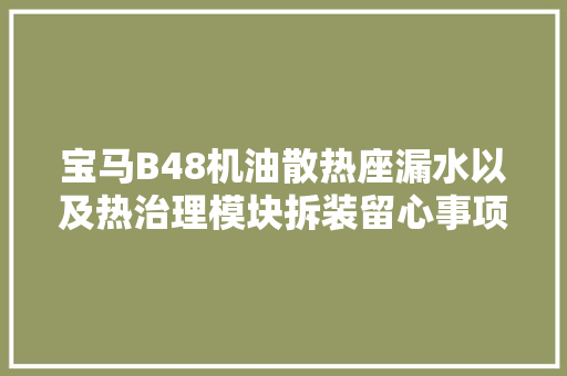 宝马B48机油散热座漏水以及热治理模块拆装留心事项
