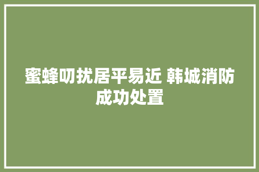 蜜蜂叨扰居平易近 韩城消防成功处置