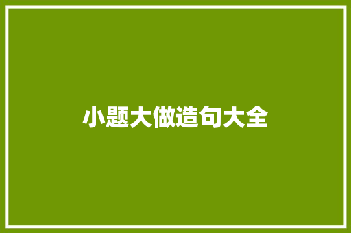 小题大做造句大全