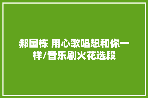 郝国栋 用心歌唱想和你一样/音乐剧火花选段