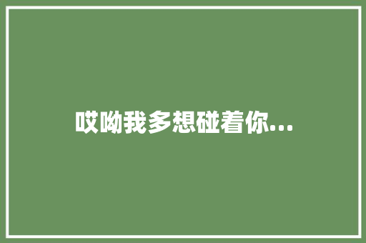 哎呦我多想碰着你…