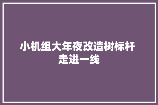 小机组大年夜改造树标杆 走进一线