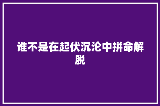 谁不是在起伏沉沦中拼命解脱