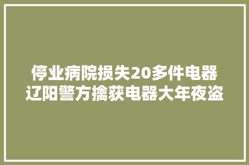 停业病院损失20多件电器辽阳警方擒获电器大年夜盗