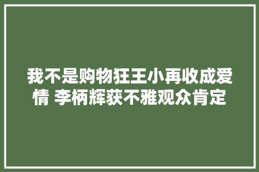 我不是购物狂王小再收成爱情 李柄辉获不雅观众肯定