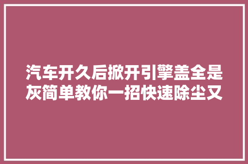 汽车开久后掀开引擎盖全是灰简单教你一招快速除尘又护车