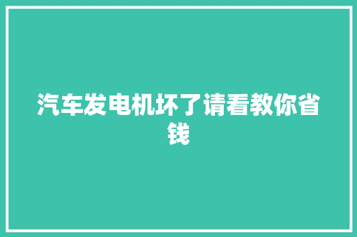 汽车发电机坏了请看教你省钱