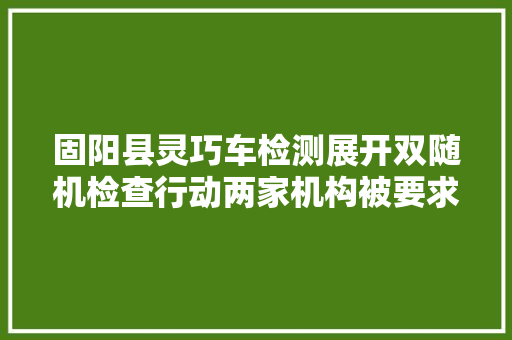 固阳县灵巧车检测展开双随机检查行动两家机构被要求整改